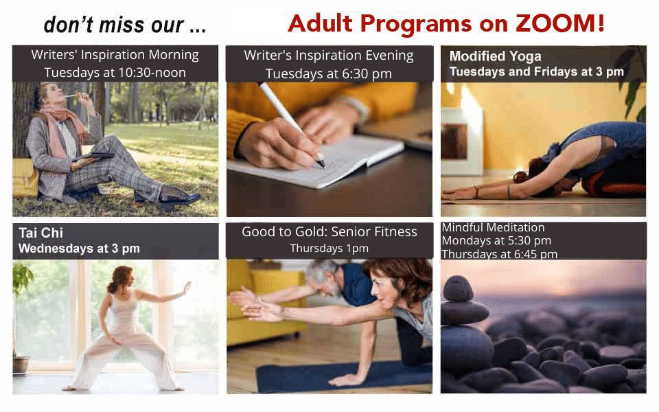 Adult Programs on Zoom sol
