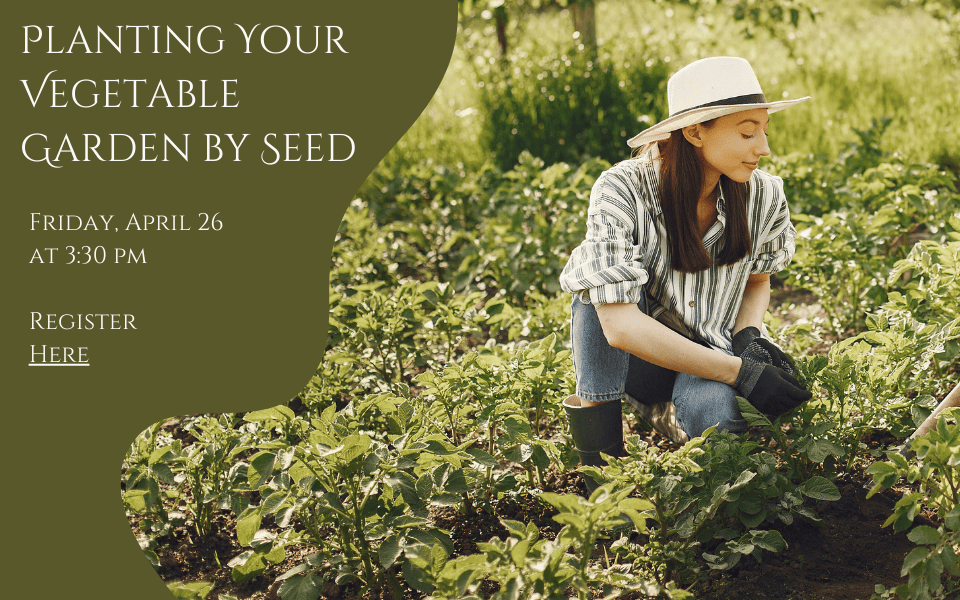 Planting Your Vegetable Garden by Seed 04.26.24 for website960x600