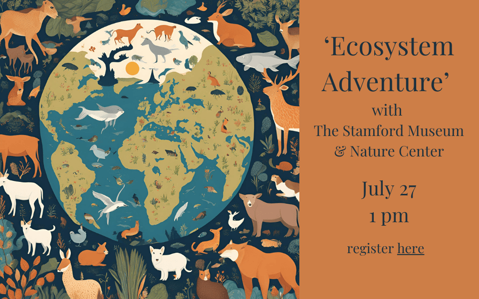 “Ecosystem Adventure” with The Stamford Museum & Nature Center July 27 960 x 600