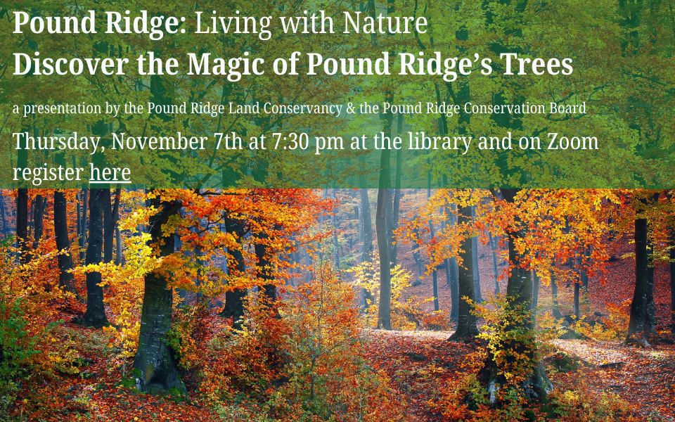 Pound Ridge Living with Nature