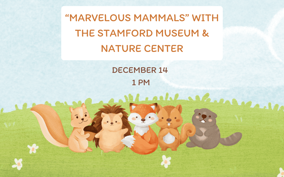 “Marvelous Mammals” with The Stamford Museum & Nature Center 1214 slider (960 x 600 px)