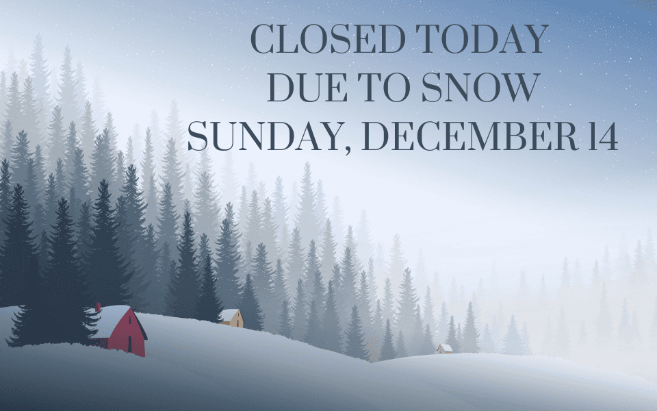closed due to snow Feb 13 960 x 600