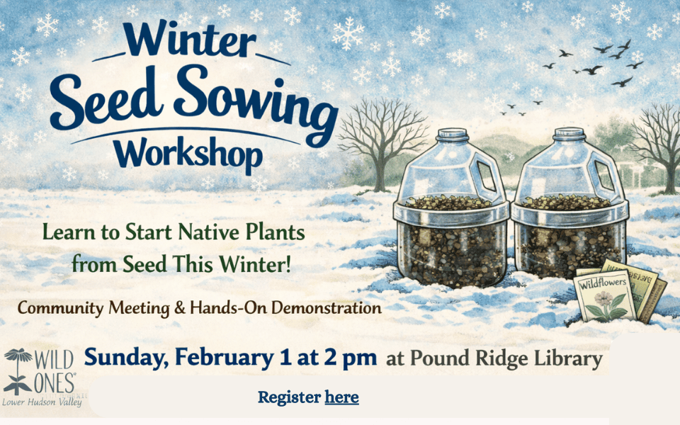 Winter Seed Sowing Workshop (960 x 600 px)