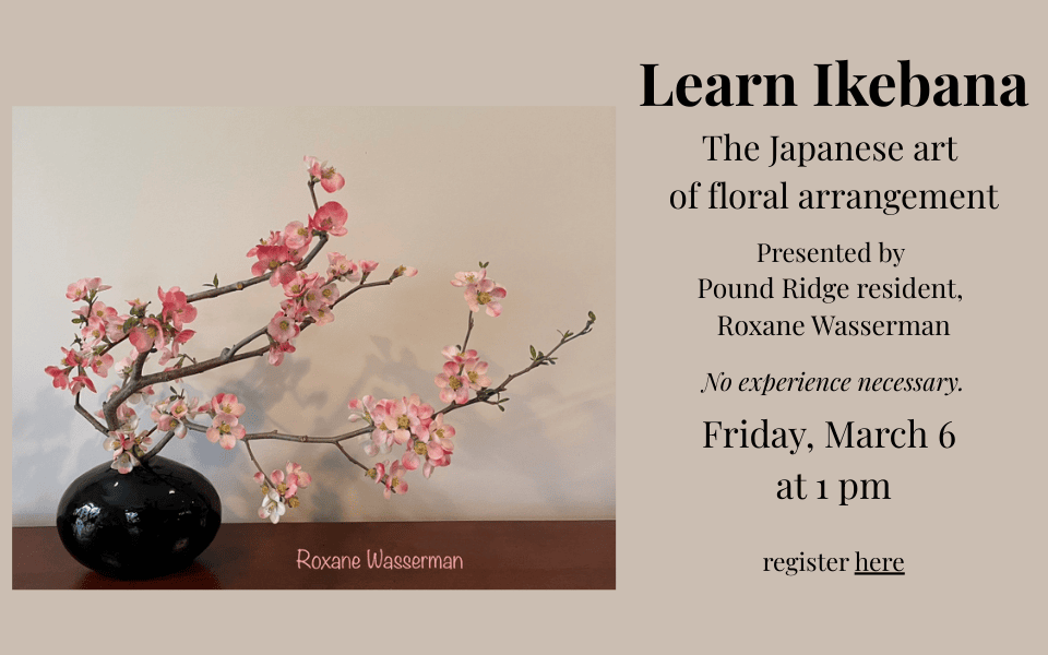 Ikebana March 6 (960 x 600 px)