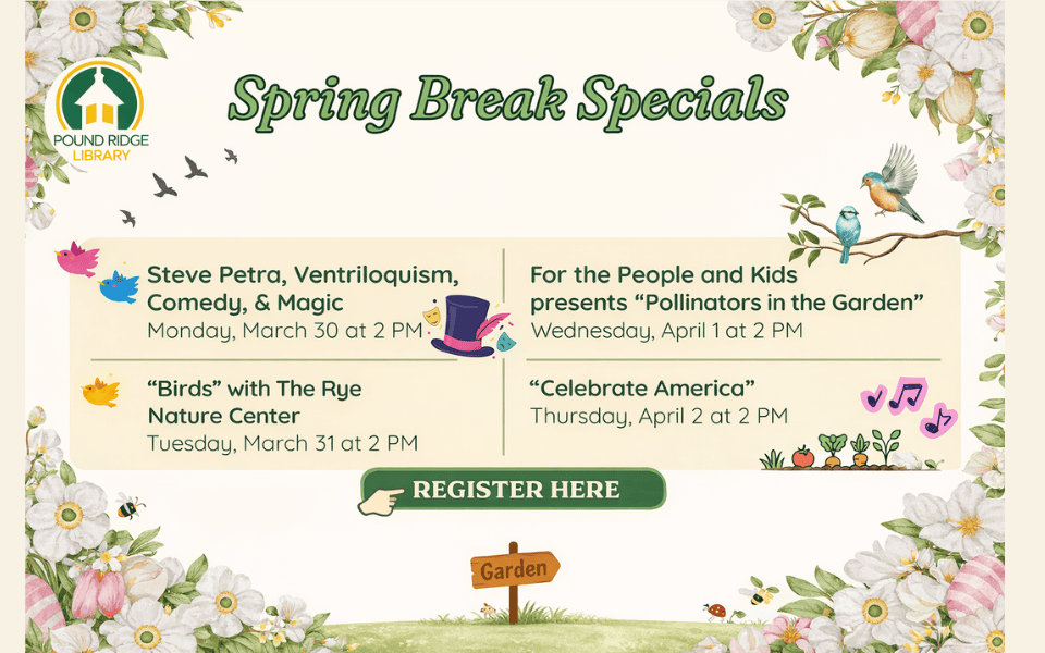 Spring Break Specials 960 x 600