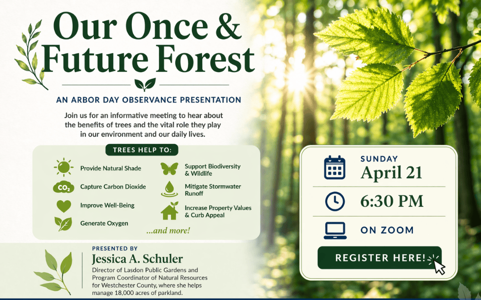 Our Once and Future Forest 960 x 600