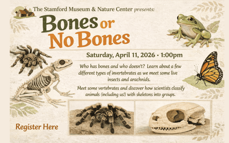 SMNC Bones or No Bones April 11