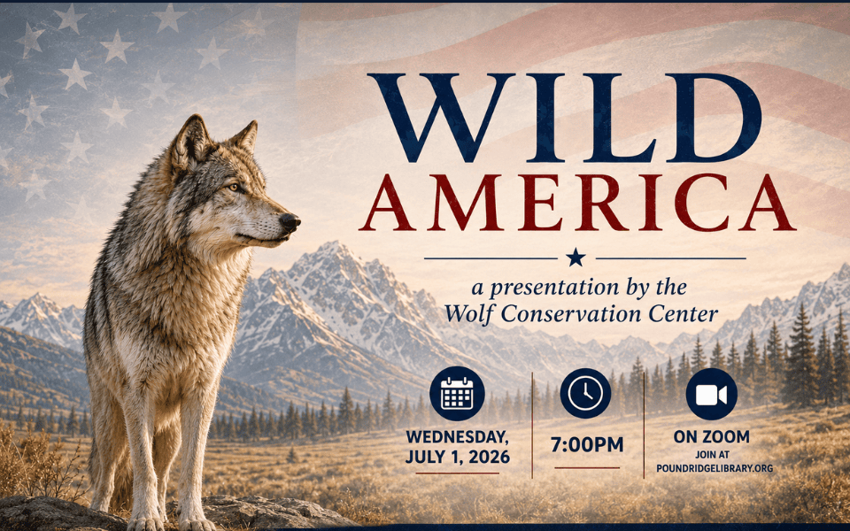 Wild America Wolf Conservation July 1 (960 x 600 px)